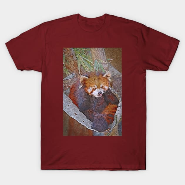 Red Panda T-Shirt by In Your Head Designs